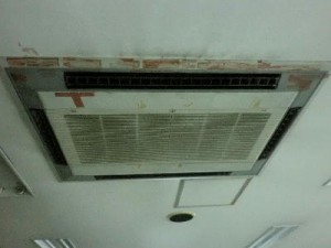 CIMG1459