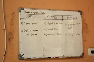 IMG_0067