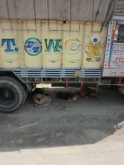 CIMG0008