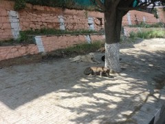 CIMG0010