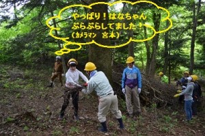 林床整備