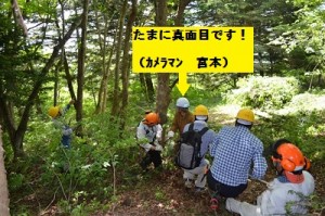 伐木作業