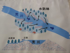 水防林と霞堤の構造
