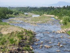 両側が水防林と霞堤群