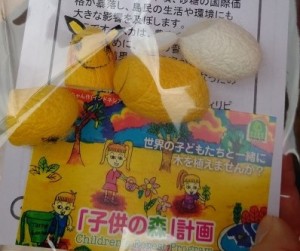 かわいいまゆピカチューができました!
