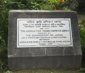 bg1
