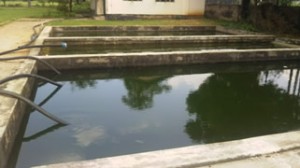 養魚場