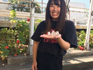 見本用のまゆ人形と