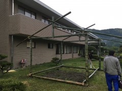 バンブーハウス