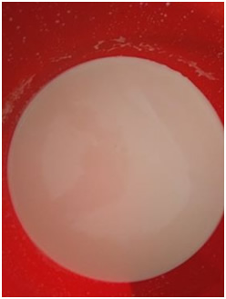 「konnichiwa milk nonde kudasai 8 Liter asa demasita kyou no asa cow motte ki masita」とのメッセージ!
