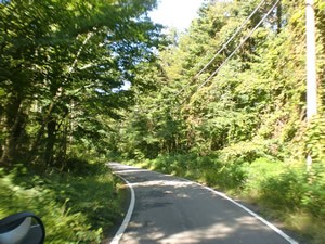 山道を走っているだけでなんだかリフレッシュ!