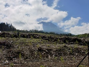 雲がかかって富士山の姿はあまり見えませんでしたが