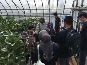 種苗会社への視察