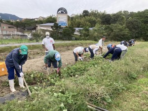 芋掘り体験