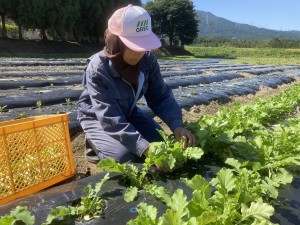 野菜の管理