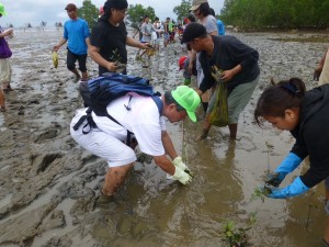 フィリピン ネグロス島 バゴ市海岸の マングローブ植林