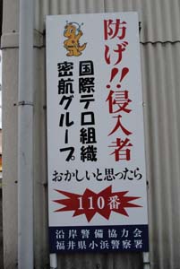 877_300pic