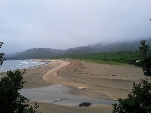 image1 (3)