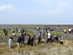 凸版印刷労組のみなさんと、4月の公募ボランティアの日、化学総連・積水化学労組・住友化学労組のみなさん、合計155人×各2時間あまりで補植地0.6haを網の目のように溝切り。この場所はひとまず完了