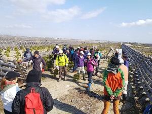 久しぶりに植栽地見学