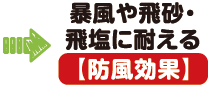 暴風や飛砂・飛塩に耐える（防風効果）