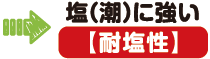 塩(潮)に強い(耐塩性)