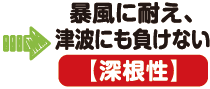 暴風に耐え、津波にも負けない(深根性)