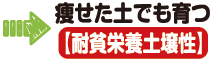 痩せた土でも育つ(耐貧栄養土壌性)