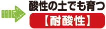 酸性の土でも育つ（耐酸性）