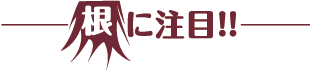 葉に注目
