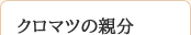クロマツの親分